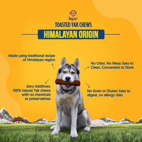 5 Dogsee Toasted Himalayan Yak Cheese Dog Chews (Small - Bars) | Easily Digestible | Double Cooked for Extra Hardness