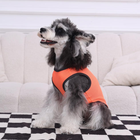 2 Pack Quick Dry Dog Shirt - Lightweight Mesh Breathable Clothes for Medium Dogs, Sun-Protection Sleeveless Shirts