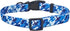 Ovale Dog Collar and Leash Combo Set, Adjustable Collar with 5 ft Matching Leash for Small Puppy Dogs (XS, Blue