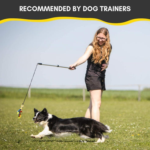 Flirt Pole for Dogs - Safe & Strong for Large Breeds w/Non-Bungee Cord - Spring Pole for Tug of War, Interactive Play & Puppy Training - Heavy-Duty Teaser Wand for Outdoor Exercise