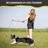 Flirt Pole for Dogs - Safe & Strong for Large Breeds w/Non-Bungee Cord - Spring Pole for Tug of War, Interactive Play & Puppy Training - Heavy-Duty Teaser Wand for Outdoor Exercise