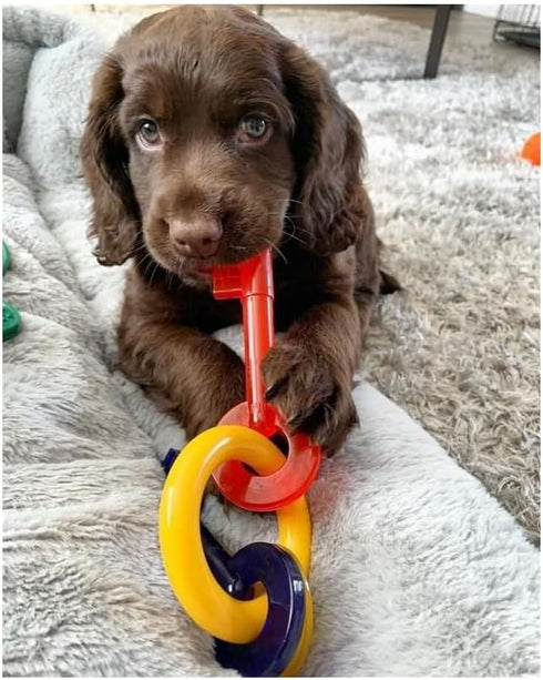 Generic (7" Puppy Teething Keys, Rings or Pacifiers Durable Dog Dental Health Colorful Chew Toys Small Teething Keys)