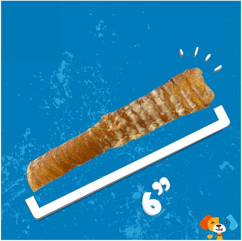 6" (10 Pack) Jack&Pup Flat Beef Trachea for Dogs | All Natural Single Ingredient Dog Treat Dog Trachea Chews | Savory