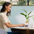 Desktop Fish Bowl, Clear Glass Small Fish Tank with Wood Lid and Bamboo Stand for Betta Fish