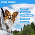 24 inch/60 CM) Dog Seat Belt Harness for Car,Dog Seatbelt of Coated Wire Leash Safety Restraint,No Chew Tether Cable