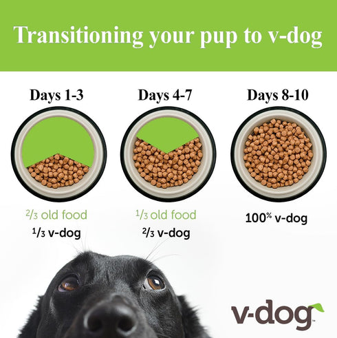 V-dog Vegan Mini Kibble Dry Dog Food, 4.5 LB, Plant-Based Protein for Sensitive Stomach and Skin, All Natural