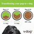V-dog Vegan Mini Kibble Dry Dog Food, 4.5 LB, Plant-Based Protein for Sensitive Stomach and Skin, All Natural