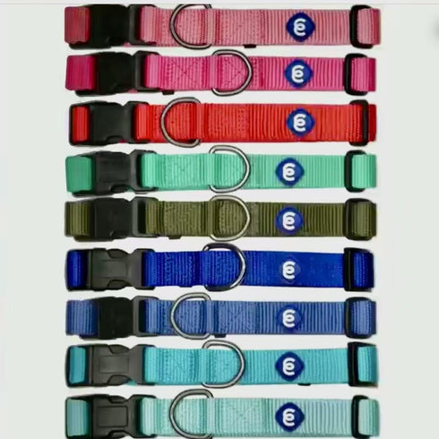 Blueberry Pet Essentials Small Dog Collar in Royal Blue | Adjustable & Eco-Friendly Durable Nylon Strap