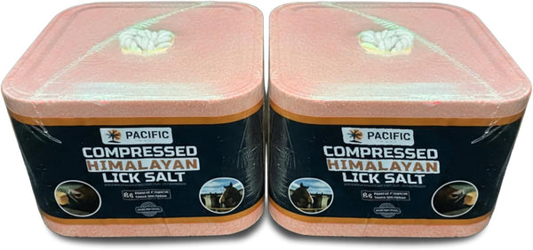 Compressed Himalayan Animal Lick Salt - Pack of 2 Salt Blocks (10.5