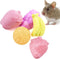Hamiledyi 5 Pcs Chinchilla Lava Blocks, Fruit Shaped Rabbit Chew Toys for Small Animals