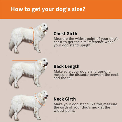 Dog Life Jacket – Easy-Fit Adjustable Belt Pet Saver Swimming Safety Swimsuit (M, Blue)