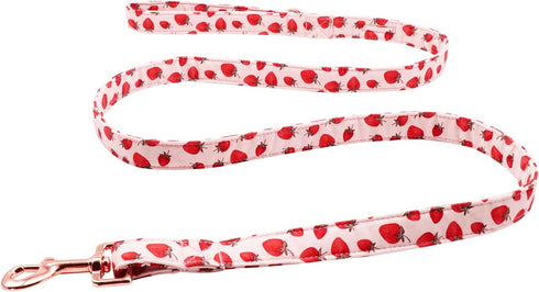 Lionet Paws Dog Leash - Matching Dog Collar for Small Medium Large Dogs