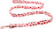Lionet Paws Dog Leash - Matching Dog Collar for Small Medium Large Dogs