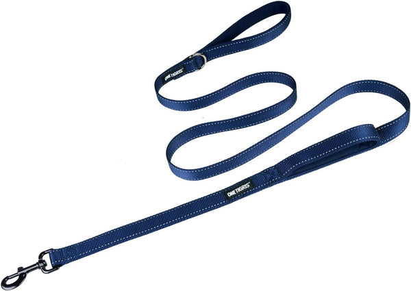 OneTigris No-Pull Dog Walking Leash - Handled Long Traffic Leads for Medium to Large Dogs (Blue, 6FT)