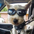 PETLESO Dog Goggles for Small Breed, Eye Protective Sunglasses for Outdoor Riding, Black