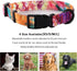 Dog Collar and Leash Set - Rainbow Stripes Tie Dye for XSmall, Small, Medium, and Large Dogs, S(9.9''-11.8'')