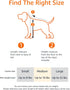 22 19.7Lx12Wx12H Amazon Basics Airline Approved Soft-Sided Mesh Pet Travel Carrier with Shoulder Strap, Removable