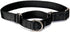 PetSafe Adjustable Martingale Collar, Medium Black 3/4" - Tightens When Dogs Pull, Prevents Slipping Out