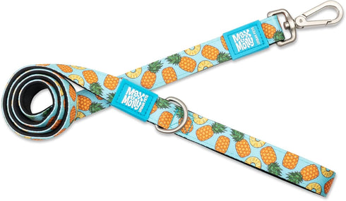 Max & Molly Classic 4 ft Dog Leash, Strong Padded Waterproof, Stylish Patterns for Boy & Girl Dogs, Durable for Small