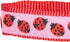 Blueberry Pet Essentials 4 ft x 1" Durable Pink Webbing Ladybug Designer Dog Leash, Basic Nylon Leash for Dogs
