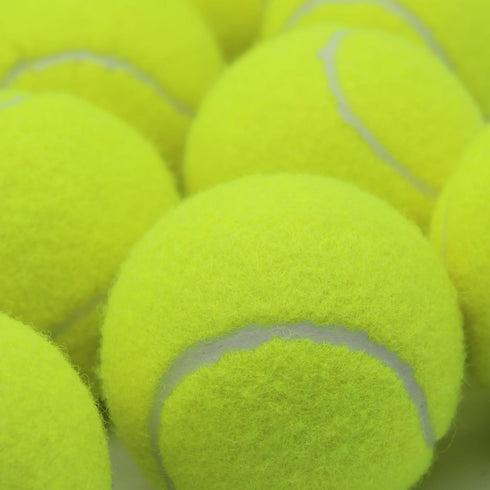 Swingers Tennis Balls,Training Exercise Balls for Pet Dog, High Elasticity Practice Tennis Balls for Beginner