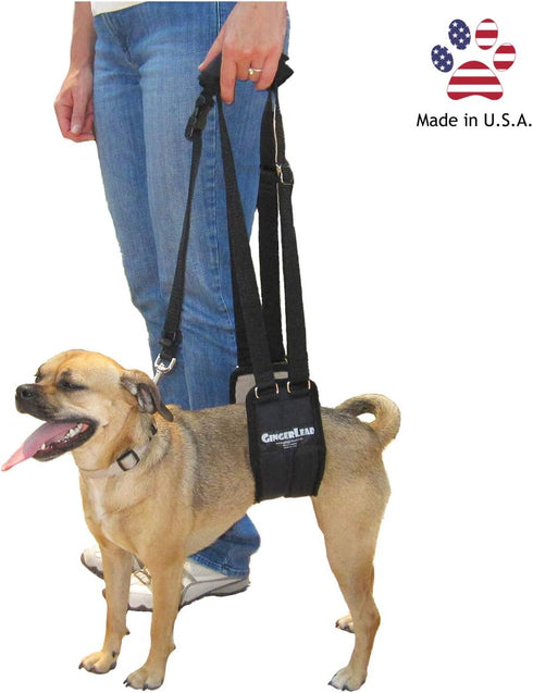 Dog Sling Support Harness, SM Female, Fits Small to Medium Pets, Padded Rear Lifting Aid with Leash