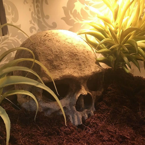 Halloween Aquarium Landscape Skull - Artificial Skeleton Decoration for Fish Tank