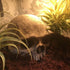Halloween Aquarium Landscape Skull - Artificial Skeleton Decoration for Fish Tank