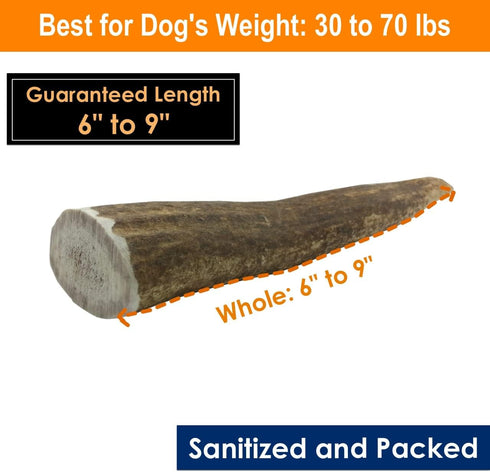 Elk Antler Chews for Dogs - Naturally Shed USA Collected A-Grade Premium Elk Antlers, 1-LB Large Cuts, All Natural