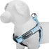 Blueberry Pet Soft & Comfy 3M Reflective Step-in Dog Harness, Baby Blue, Small, Chest Girth 15.5" - 19.5"