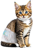 Ypfyed Disposable Cat Diapers, 40 Count Perfect for Both Male and Female Cats,