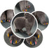 140pcs Cat Nail Caps Kitten Caps, 4 Glitter Colors + 10 Colorful Cat Nails Caps Covers