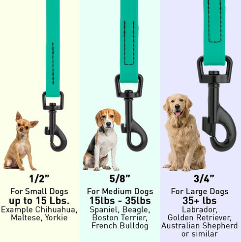 Dogline Waterproof Dog Leash, Strong Biothane Coated Nylon Webbing with Black Hardware, Easy to Clean, Made in USA