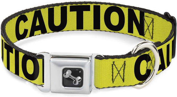 Buckle-Down Dog Collar, Wide Small, Caution Yellow/Black, 13-18"