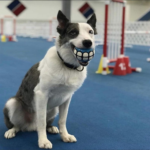 Dog Balls Toys Squeaky Fetch, Rubber Funny Ball Gifts for Large Medium Dogs, Blue White