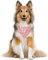 ZPPRJF Big Sister Dog Bandana, Pink Pet Dog Scarf Accessories, Pet Triangle Scarf for Small Medium Dogs, Baby