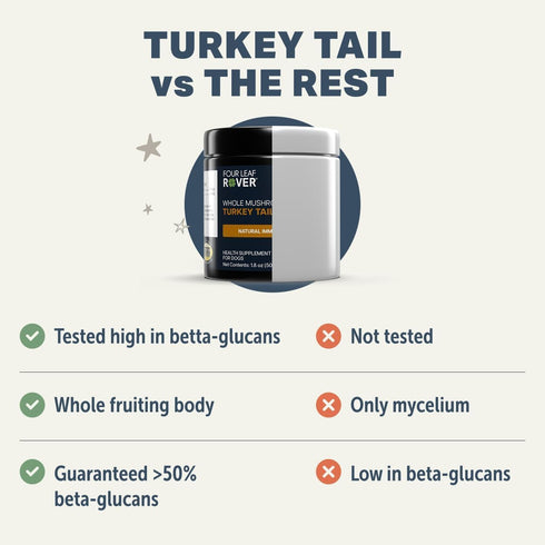 50% Turkey Tail Mushroom for Dogs - Whole, Organic Mushroom Extract - Over Beta-Glucan - Third Party Tested, Made