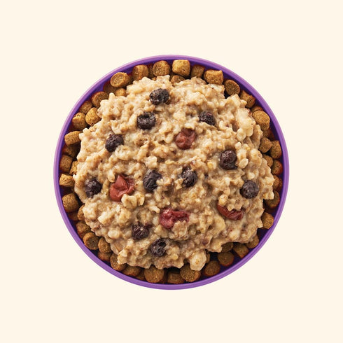 3.5 oz (Pack 12), Your Pet's Kitchen Wet Dog Food Cups, Breakfast Oatmeal with Berry Boost Flavor - Cups of Made in The