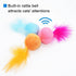 Furry Rattle Ball Cat Toy with Feather and Catnip, Interactive Pom Pom Balls for Cats, 2 Inch, 6 Pack