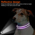 Joytale Reflective Dog Collar - Soft Neoprene Padded Breathable Nylon, Adjustable for Medium Dogs, Purple, M