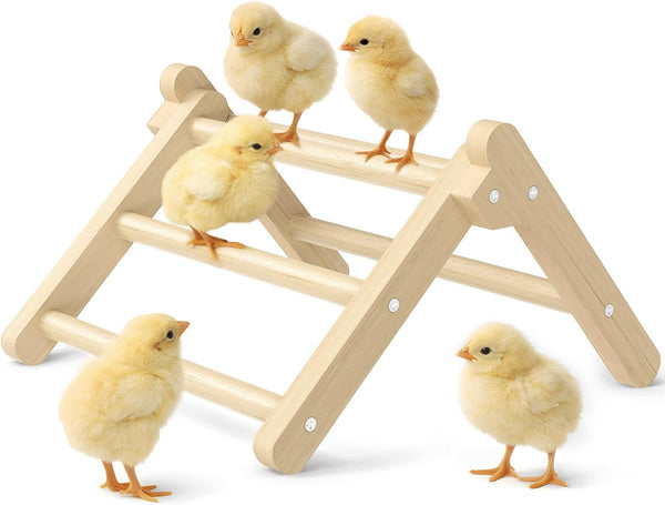 Innoland Chick Perch Foldable, Perch for Chicks Stable & No Assemble, Chick