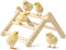 Innoland Chick Perch Foldable, Perch for Chicks Stable & No Assemble, Chick