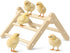Innoland Chick Perch Foldable, Perch for Chicks Stable & No Assemble, Chick