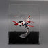 evron (16x13x14in; 40x33x35 cm) Display Case for Collectibles Assemble Clear Acrylic Box Alternative Glass Case