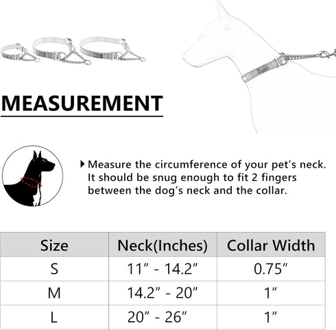 Plutus Pet Martingale Dog Collar with Stainless Steel Chain, Adjustable No Pull Training Collar for Small Medium Large