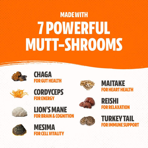 FreshCap Shroomies, Organic Mushroom Complex for Dogs, 180 Soft Chews, Turkey Tail & Lions Mane