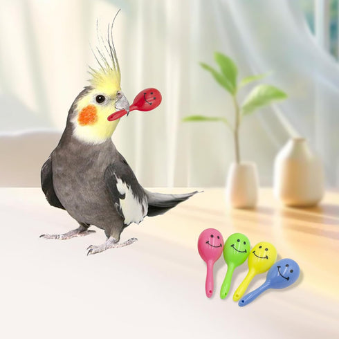 MinrzPet 4-in-1 Set Bird Activity Mini Skateboard, Stacking Rings, Rattle & Colorful Peg Toy | Interactive Toys