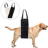 20-150lb Dog Sling for Large Dogs, Heavy Duty Portable Lift Harness, Black, Large, Hind Leg Support