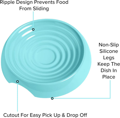 CatGuru Cat Bowls - Whisker Friendly Cat Food Bowl Set of 2, Non Slip Pet Feeding Plate, Shallow Kitten Dish (Aruba)