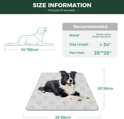 35" 2 Packs FXW Washable Pee Pads for Dogs, Puppy Pads with Super Absorbent, Specifically Designed for Potty Training